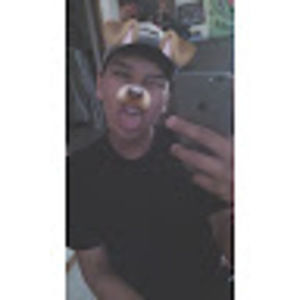 Meet your Posher, Zander